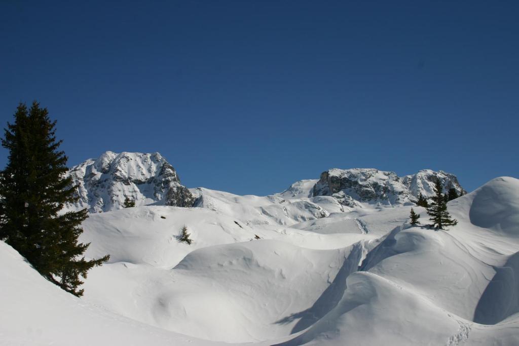 Madame Vacances Les Chalets du Praz La Plagne Extérieur photo